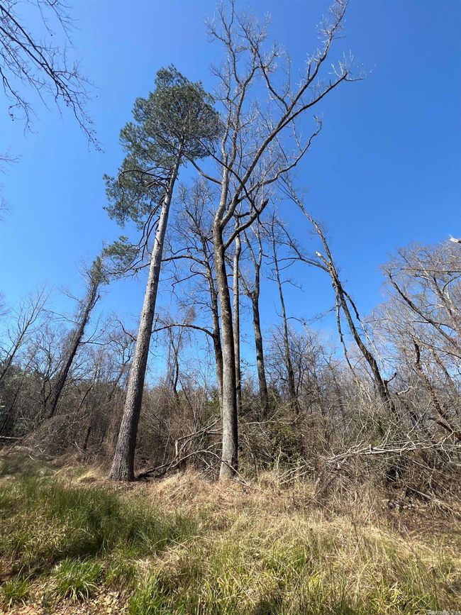 00 Nevada County 175 Road, Home with 0 bedrooms, 0 bathrooms and null parking in Rosston AR | Image 10