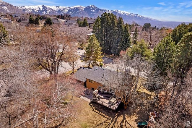 Mountain view | Image 40