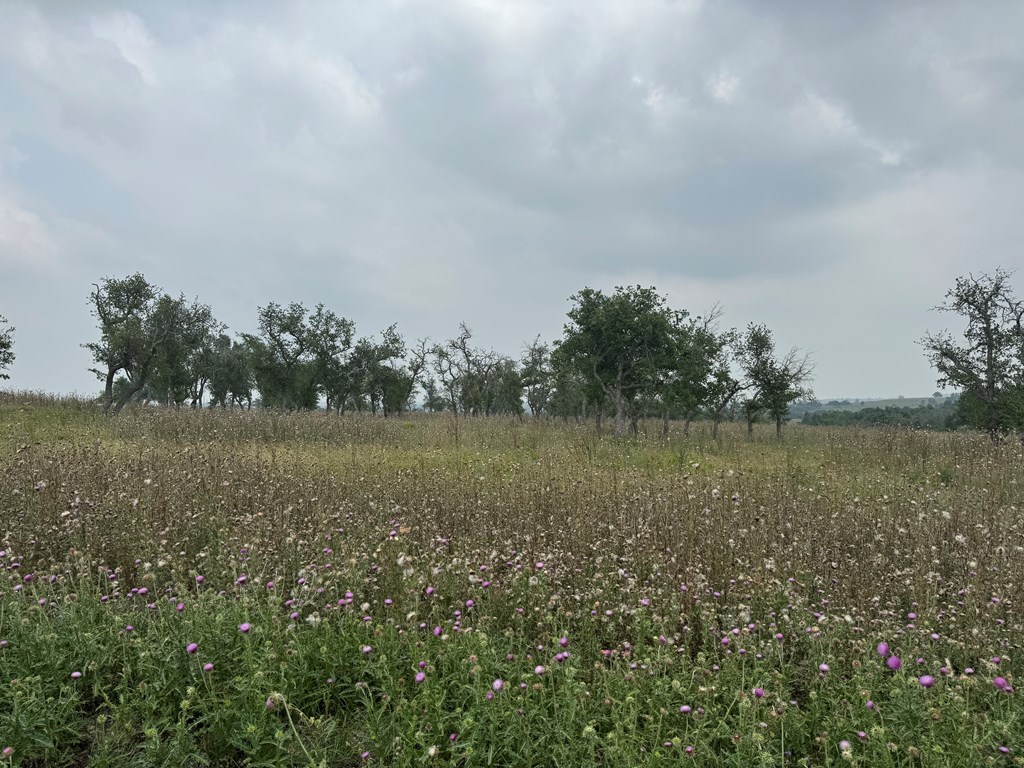 Land in Fredericksburg 4