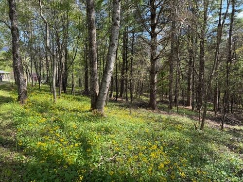TBD (1 Acre) Crestview Drive West, Creston, NC, 28615 | Card Image