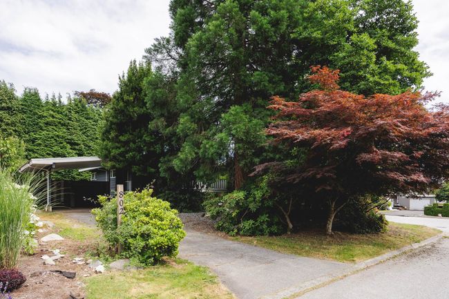 View of property hidden behind natural elements featuring a carport | Image 26