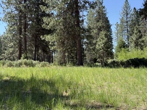 Lot 13 Haul Road, McCloud, CA, 96057 | Card Image