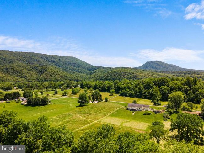 501 Forest View Rd, House other with 3 bedrooms, 3 bathrooms and null parking in Edinburg VA | Image 9