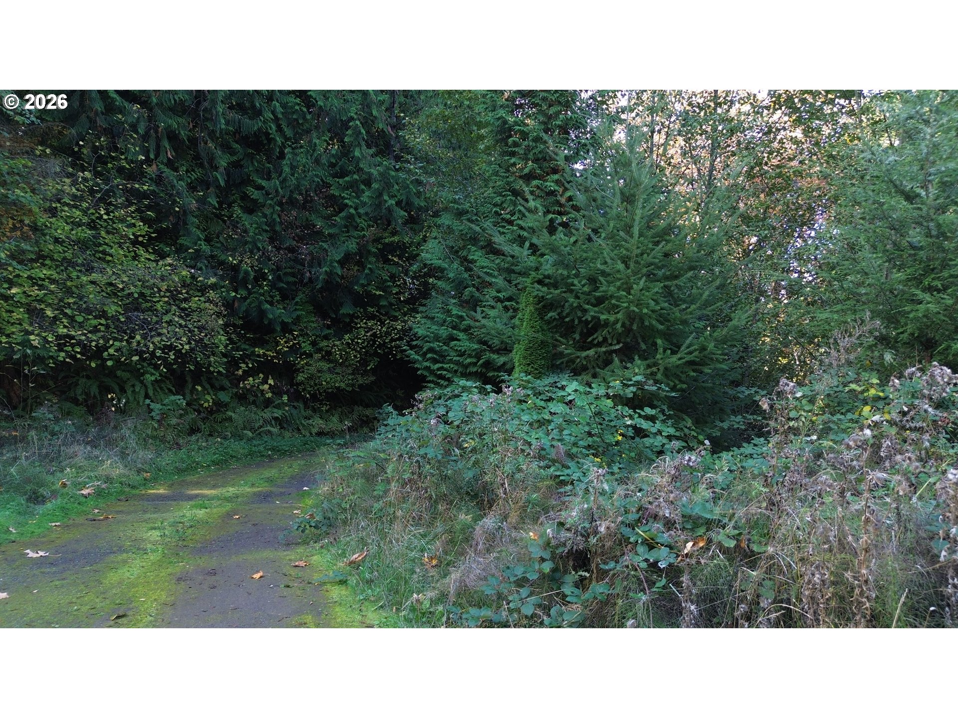 Land in Kalama