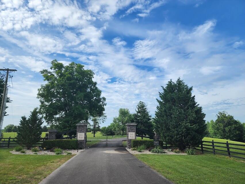 Land in Russell Springs 4
