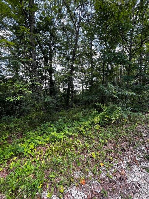 80 Ivy Ln, Wellington, KY, 40387 | Card Image
