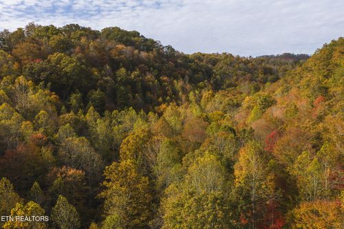 161989 Lynn Flanary Rd, Blackwater, VA, 24221 | Card Image