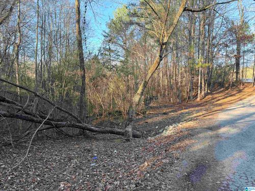 0-002 Scott Road, Cordova, AL, 35550 | Card Image