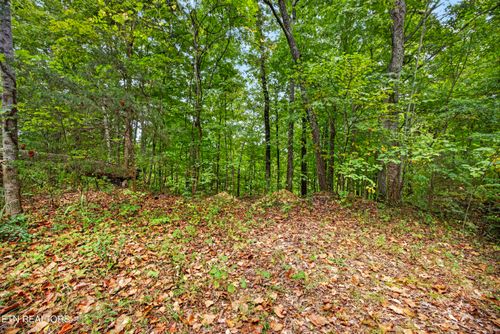Lot 28 Timber Ridge Ln, Celina, TN, 38551 | Card Image