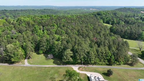 172-acres-0 Old Sawmill Road, Moody, AL, 35004 | Card Image