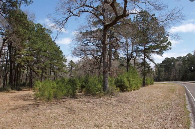 4345 Fm 3188, Home with 0 bedrooms, 0 bathrooms and null parking in Trinity TX | Image 4