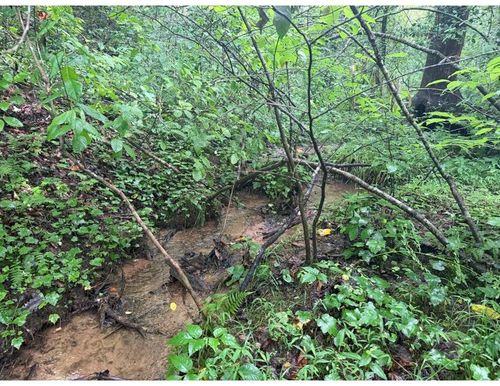 4.1 Ac 1st St, Ellijay, GA, 30540-9328 | Card Image
