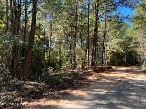 00 County Road 39, Paulding, MS, 39348 | Card Image