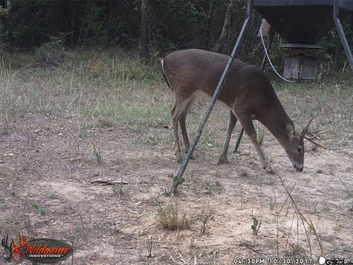 139 Cr 1061, Talco, TX, 75487 | Card Image