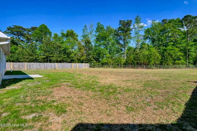 304 Big Tree Ln, House other with 3 bedrooms, 2 bathrooms and 1 parking in Chinquapin NC | Image 29
