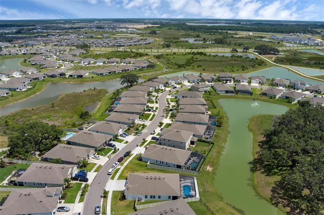 10815 Laxer Cay Loop, House other with 4 bedrooms, 4 bathrooms and null parking in San Antonio FL | Image 62