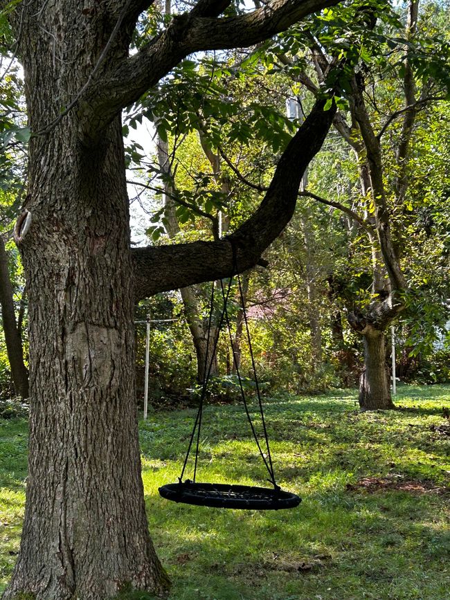 Backyard | Image 13