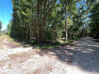 Front corner of of the lot at the road and looking down neighbor's driveway. | Image 2