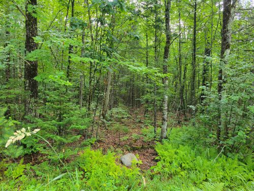 0 Union Hill Rd, Fryeburg, ME, 04037 | Card Image