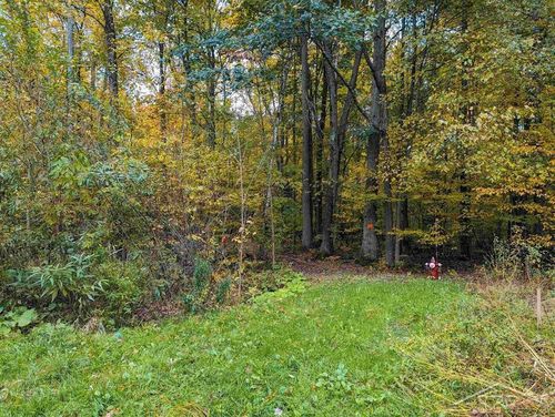 VL E Degeer, Mills Township, MI, 48642 | Card Image