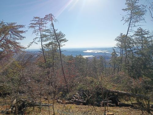 342 Wallen Lane, Bean Station, TN, 37708 | Card Image