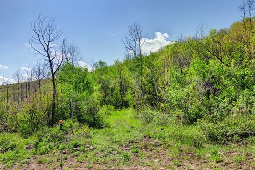 25-4967 S Woodland Way, Kamas, UT, 84036-1447 | Card Image