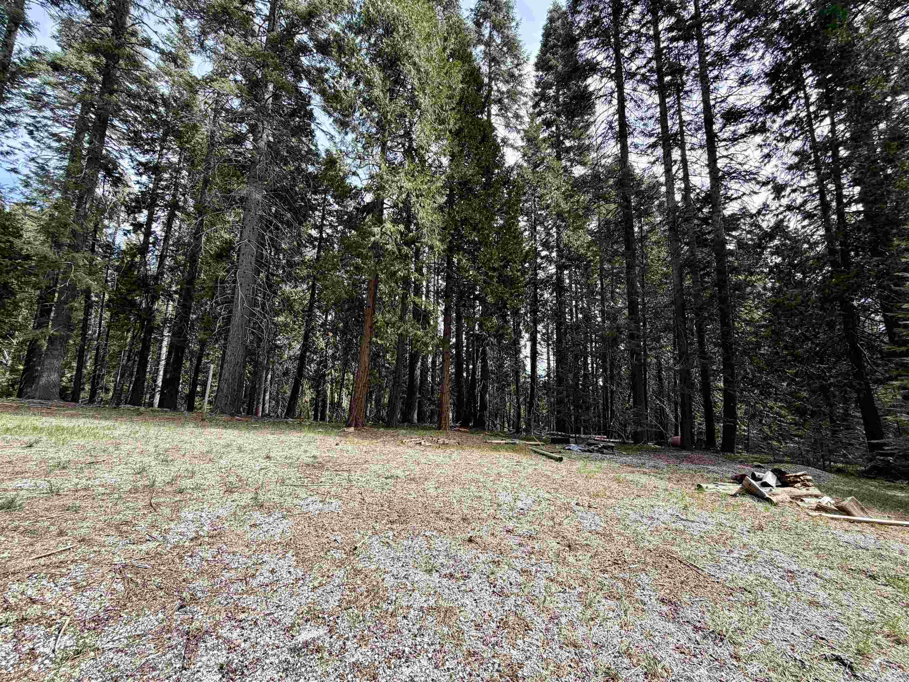 Land in McCloud 5