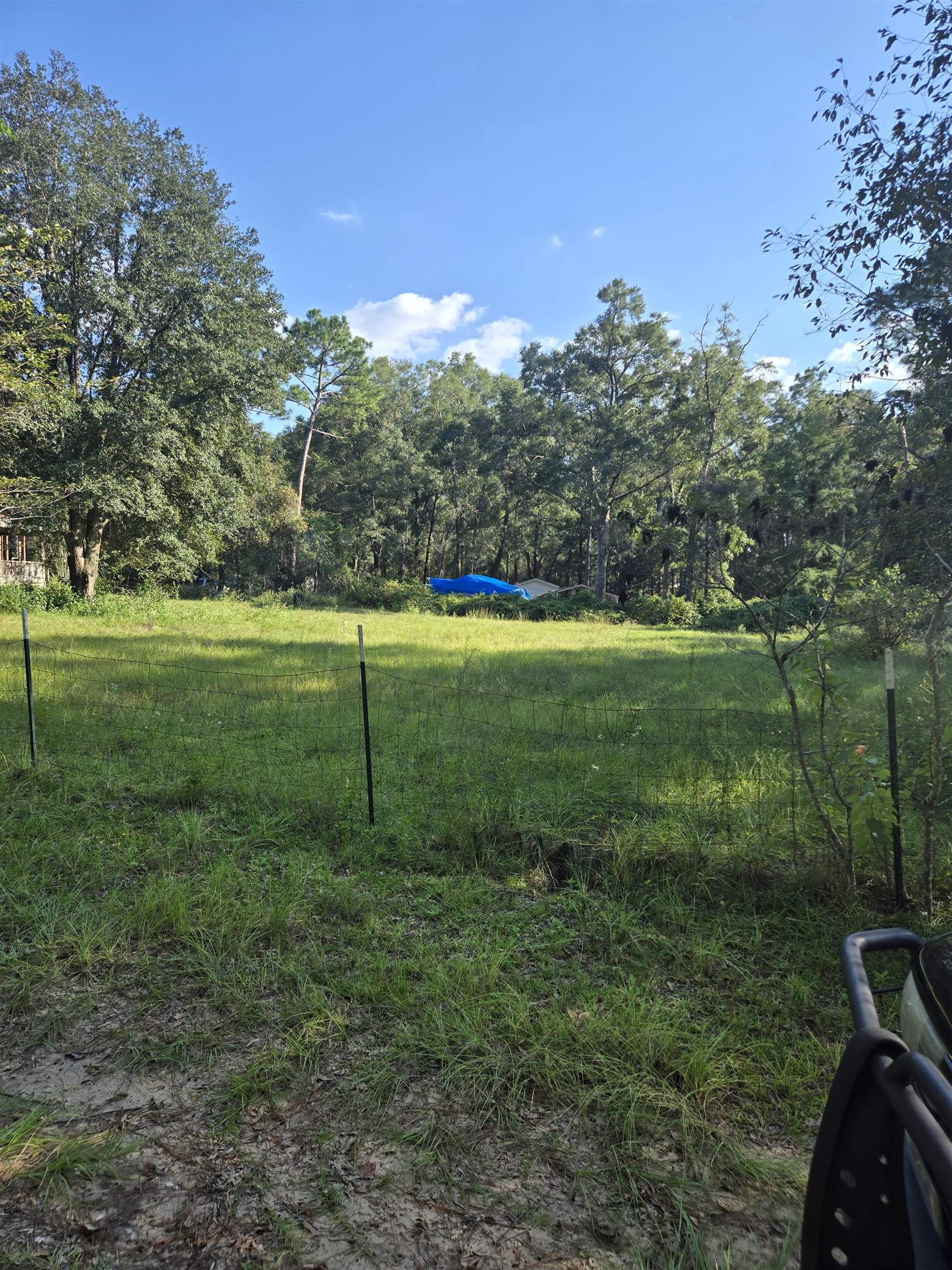 Kangaroo Ct, Tallahassee, FL 32311