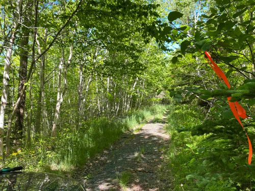 0 No. 1 Highway, Deep Brook, NS, B0S1J0 | Card Image