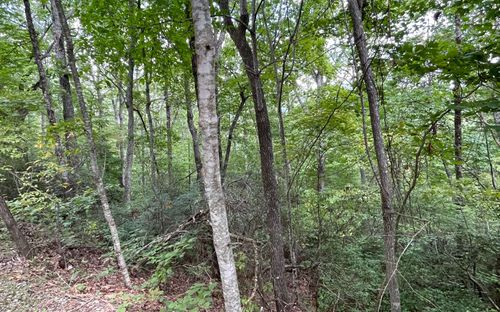 Lot 20 Enchanted Ridge, Hayesville, NC, 28904 | Card Image