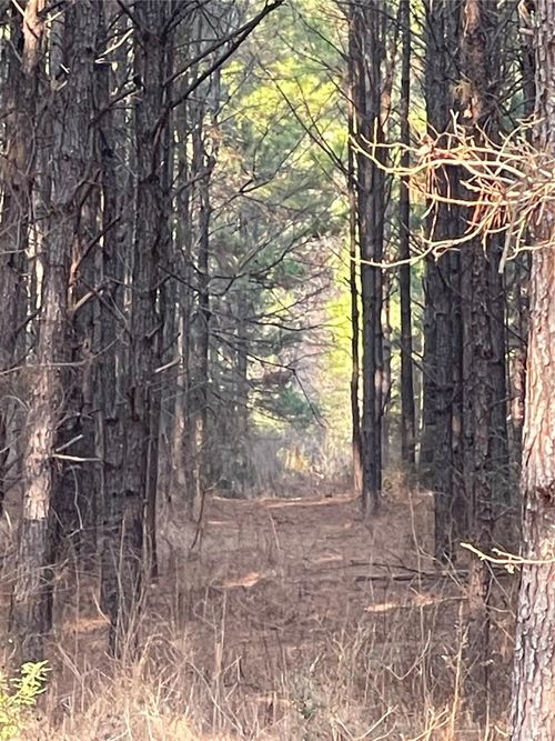 NA Kickapoo Rd, Groveton, TX, 75845 | Card Image