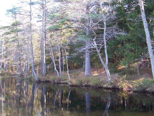 00 Scott Pond Rd, Fitzwilliam, NH, 03447 | Card Image