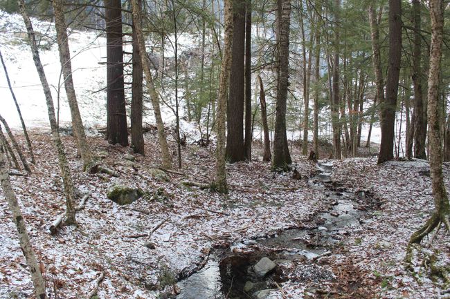 LOT-17 - 000 Wetherbee Farm Rd, Home with 0 bedrooms, 0 bathrooms and null parking in Lisbon NH | Image 25
