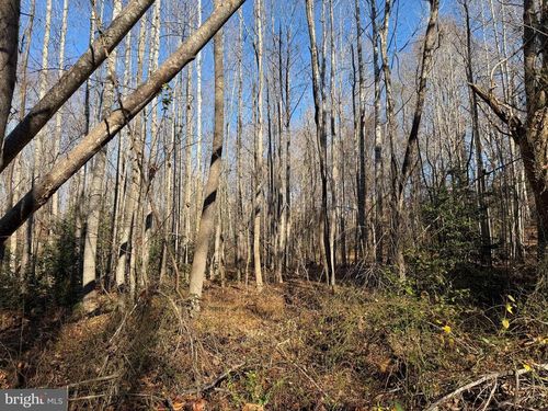 Lot 2 B Turkey Acres Road, KING GEORGE, VA, 22485 | Card Image