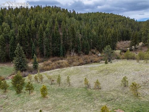 521 University Dr, Woodland Park, CO, 80863-8820 | Card Image