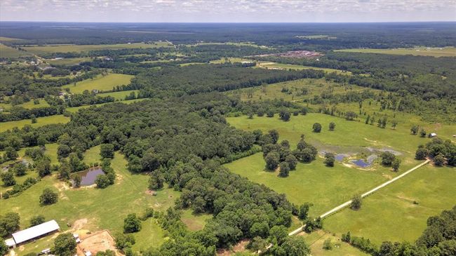 00 Lloyd Fregia Road, Home with 0 bedrooms, 0 bathrooms and null parking in Batson TX | Image 21