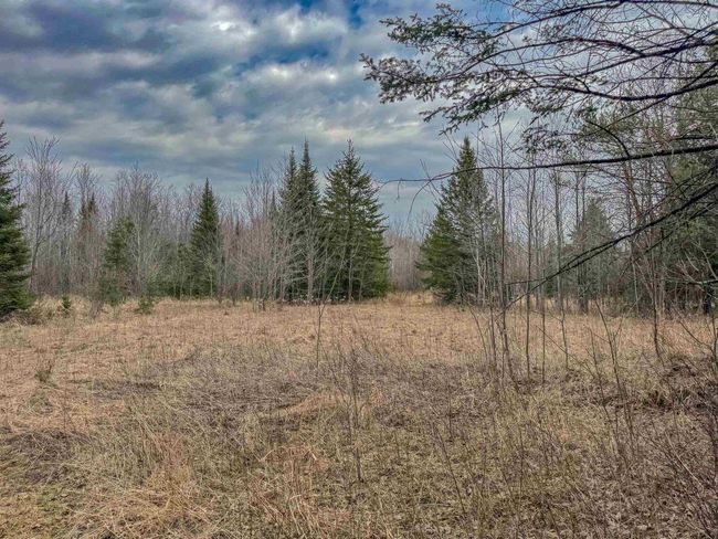 W10236 County Road M, Home with 0 bedrooms, 0 bathrooms and null parking in Merrill WI | Image 10