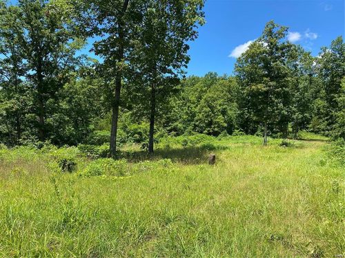 0 53.84+/- Ac Briarcliff Trail, Richwoods, MO, 63071 | Card Image