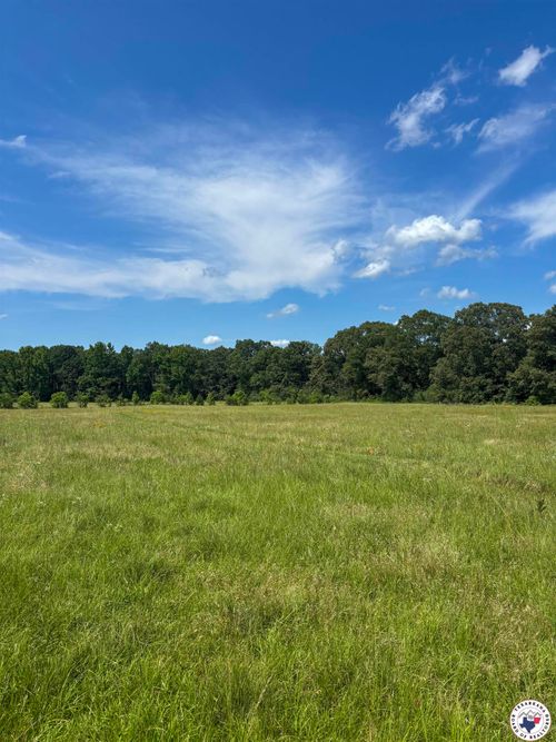 18.02 ac Daniels Chapel Rd, New Boston, TX, 75570 | Card Image