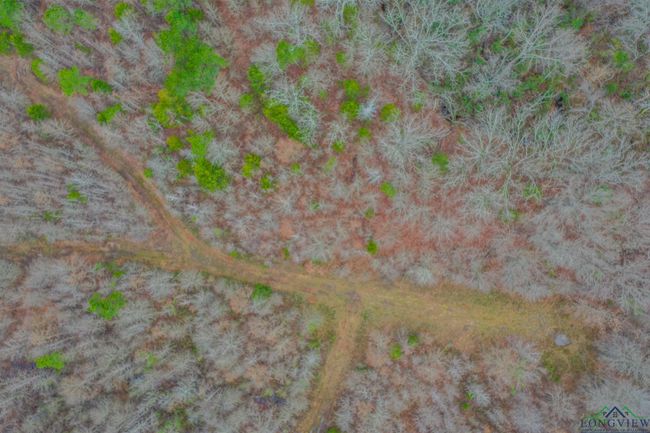 00 Mistletoe Rd, Home with 0 bedrooms, 0 bathrooms and null parking in Gilmer TX | Image 4