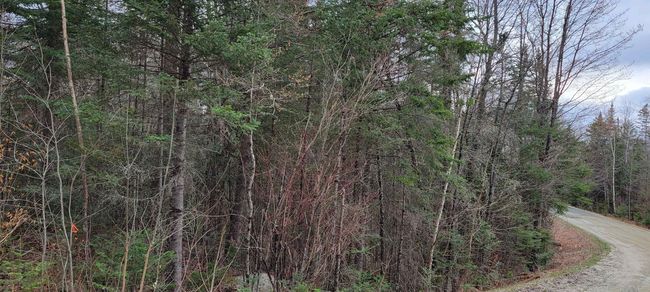 Lot 12 Mirror Lake Estates Dr, Home with 0 bedrooms, 0 bathrooms and null parking in Whitefield NH | Image 22