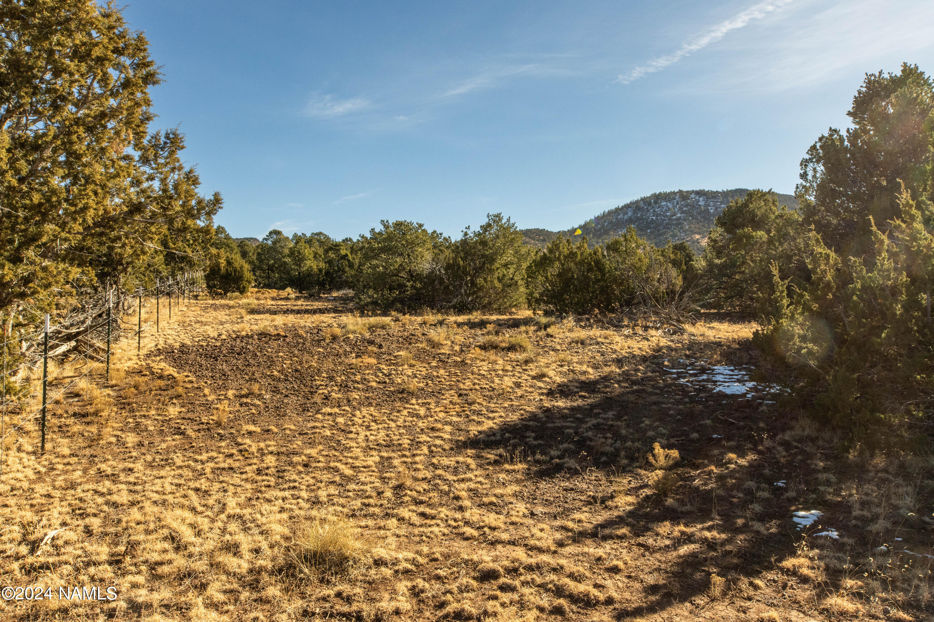 Land in Williams 2