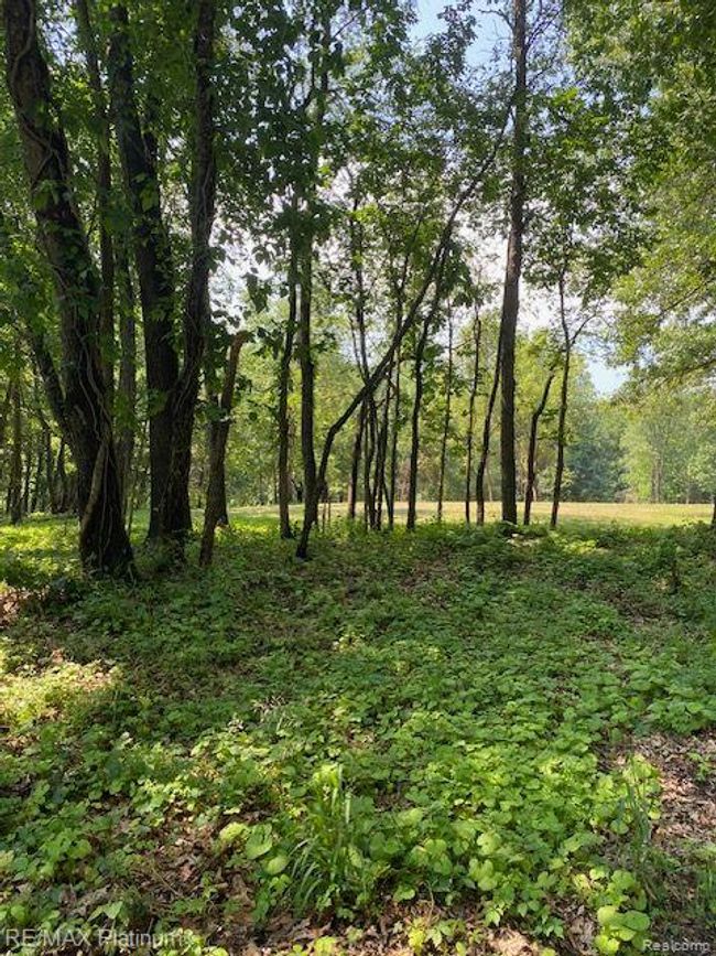 6 Sleaford Parcel 6   2.1 Acres Road, Home with 0 bedrooms, 0 bathrooms and null parking in Howell Township MI | Image 29