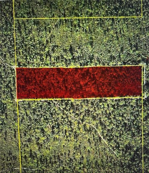 TBD Ne Ne 144th Terr, Silver Springs, FL, 34488 | Card Image