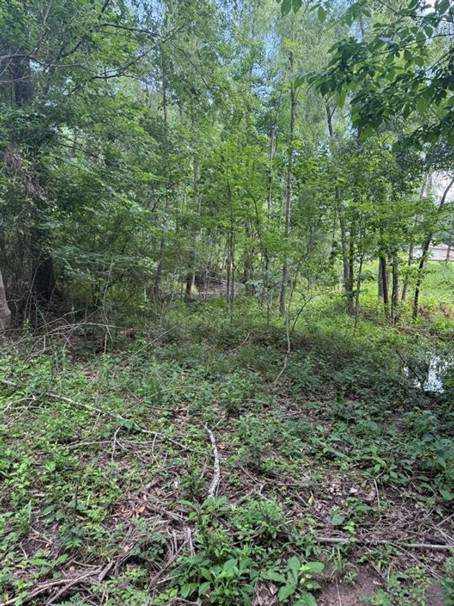 0 Paradise Point Dr, Home with 0 bedrooms, 0 bathrooms and null parking in Willis TX | Image 7
