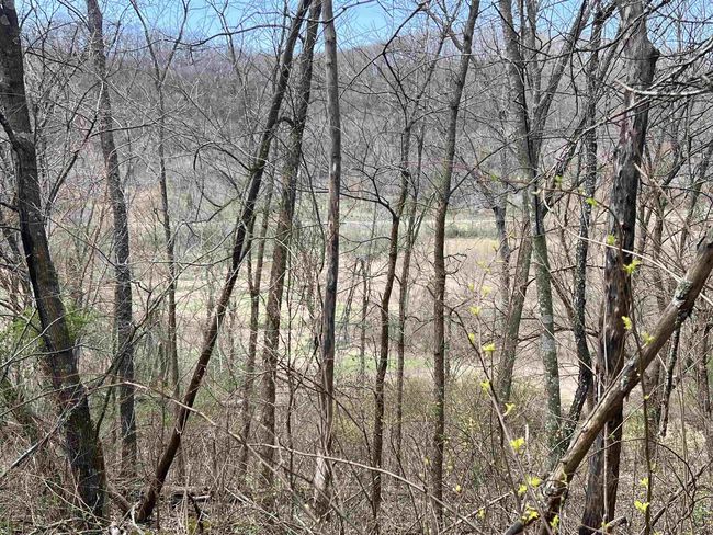 71 +/- Acres Scenic View Road, Home with 0 bedrooms, 0 bathrooms and null parking in Seneca WI | Image 28