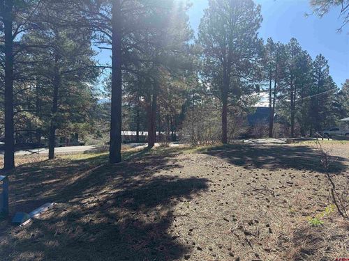 19 Bienvenido Circle, Pagosa Springs, CO, 81147 | Card Image