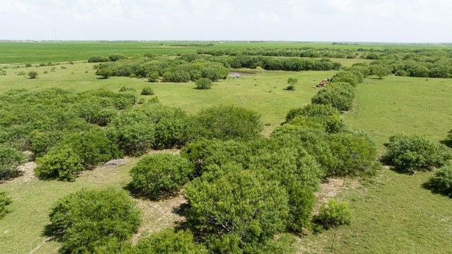 000 Old Gin Rd, Home with 0 bedrooms, 0 bathrooms and null parking in Bayside TX | Image 14