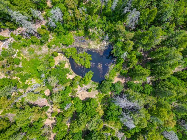 Aerial | Image 45