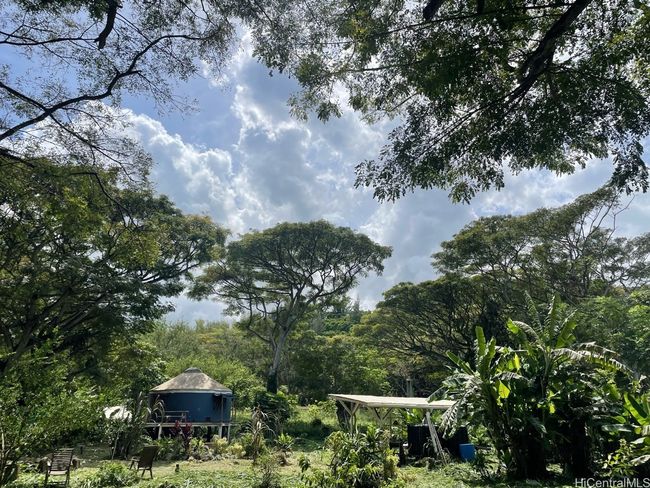 Comes with an outdoor shower, small guest shed and fruit trees already planted. | Image 5